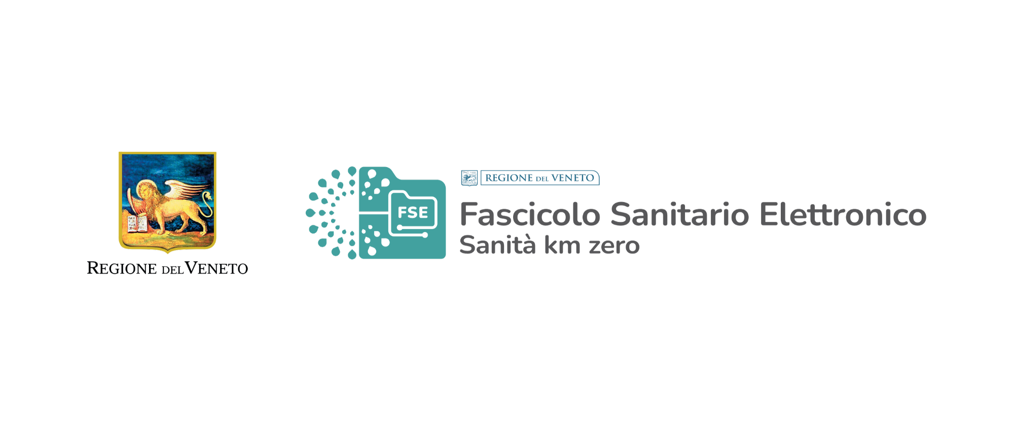 Logo FSE 2026 Logo FSE