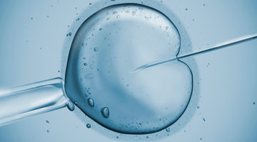 evento fertilità