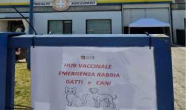 Rabbia canina - 364x216